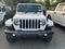2023 Jeep Wrangler Sahara Altitude
