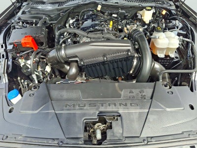 2025 Ford Mustang EcoBoost