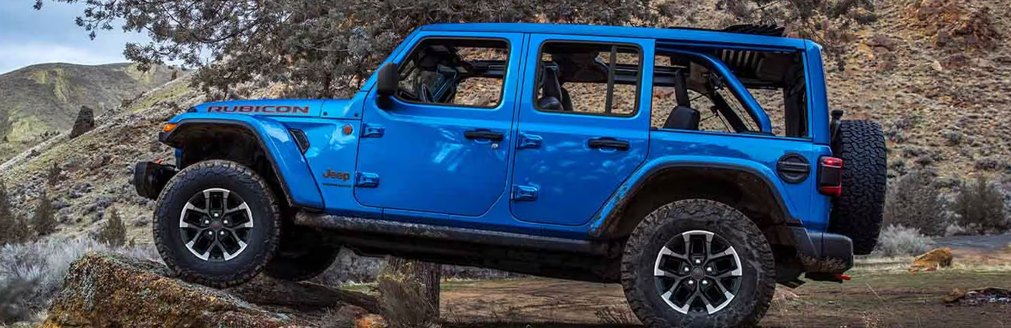Jeep Wrangler Bear DE